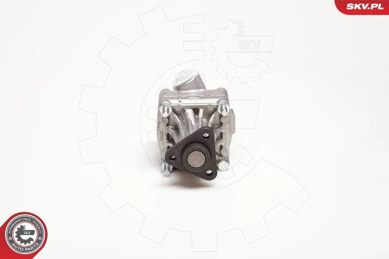 Hydraulic Pump, steering ESEN SKV 10SKV005