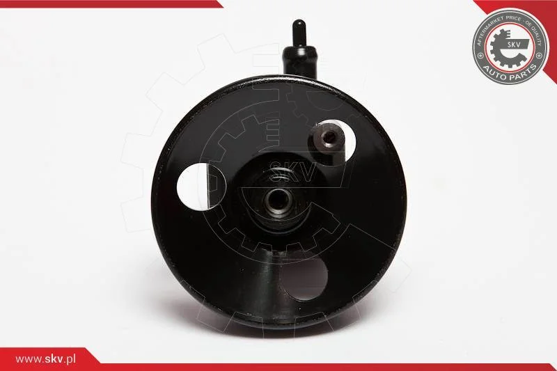 Hydraulic Pump, steering ESEN SKV 10SKV010