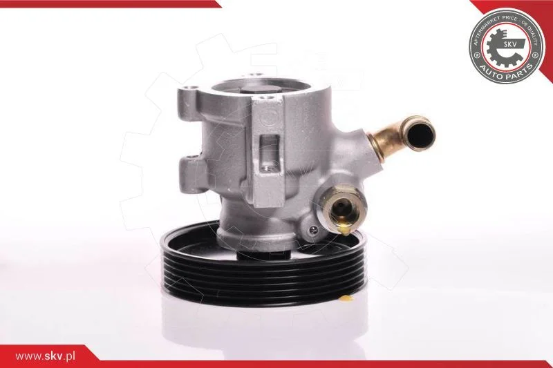 Hydraulic Pump, steering ESEN SKV 10SKV013