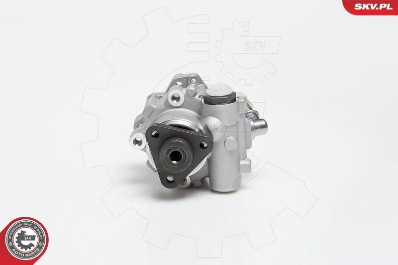 Hydraulic Pump, steering ESEN SKV 10SKV014