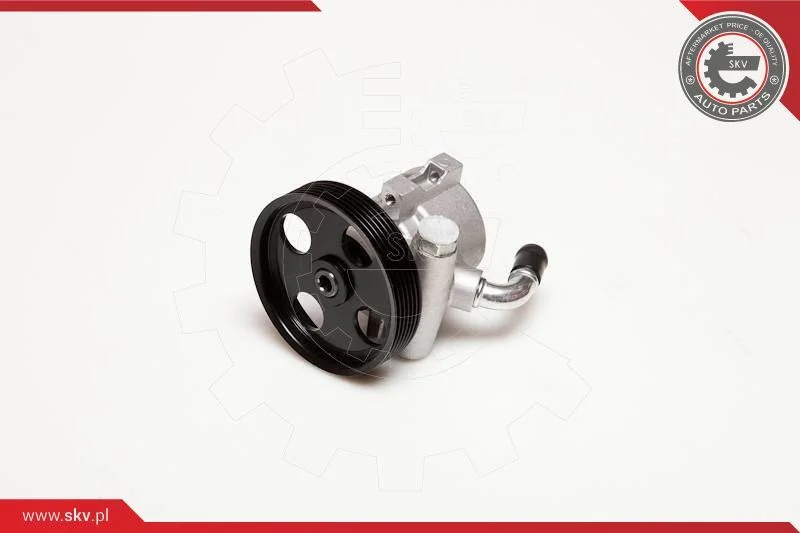 Hydraulic Pump, steering ESEN SKV 10SKV025