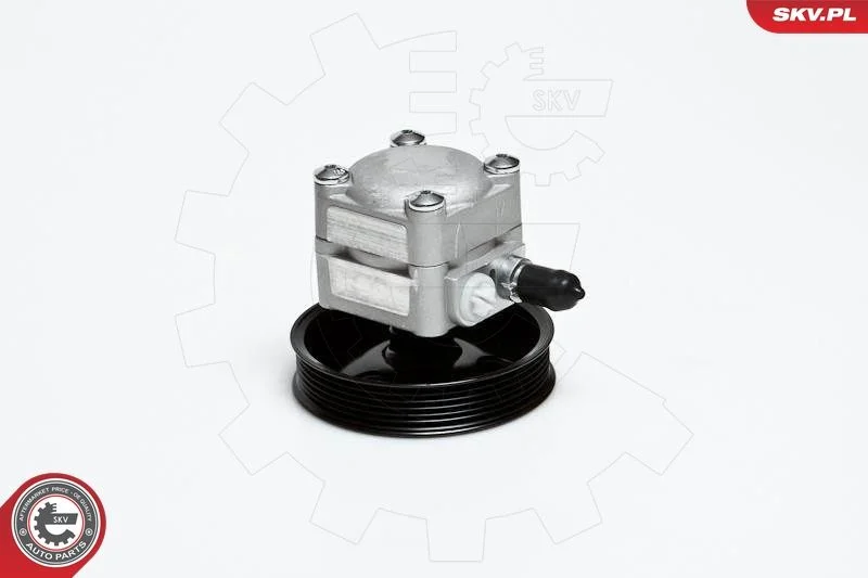Hydraulic Pump, steering ESEN SKV 10SKV027