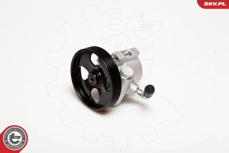 Hydraulic Pump, steering ESEN SKV 10SKV031