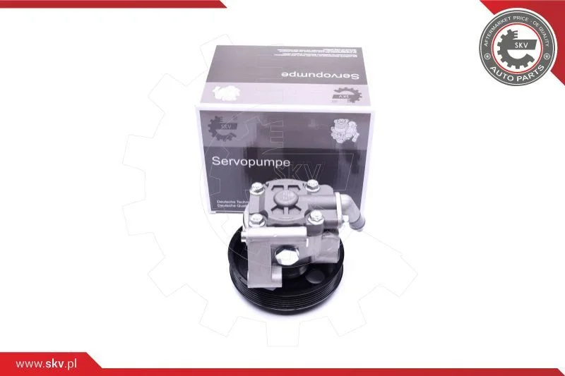 Hydraulic Pump, steering ESEN SKV 10SKV038