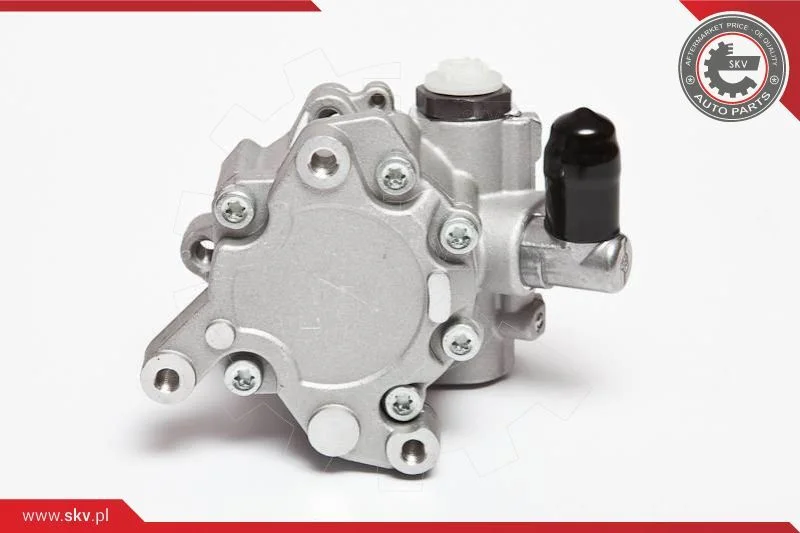 Hydraulic Pump, steering ESEN SKV 10SKV043
