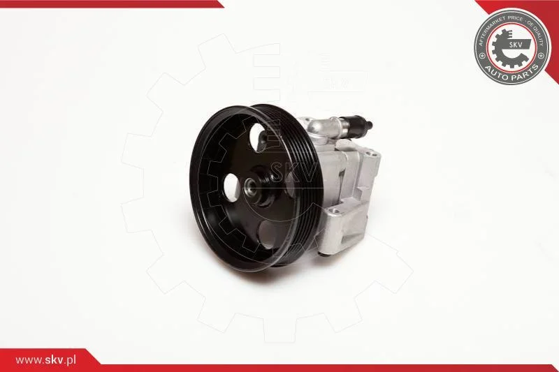 Hydraulic Pump, steering ESEN SKV 10SKV050