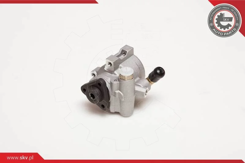 Hydraulic Pump, steering ESEN SKV 10SKV055