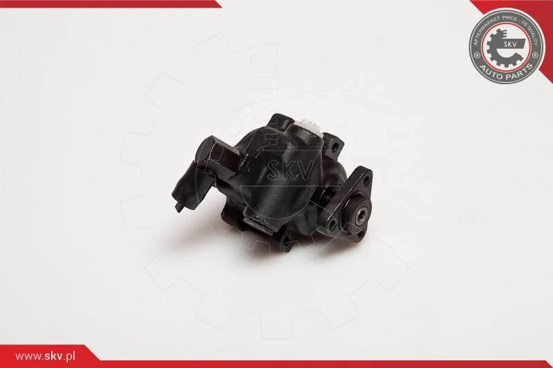 Hydraulic Pump, steering ESEN SKV 10SKV056