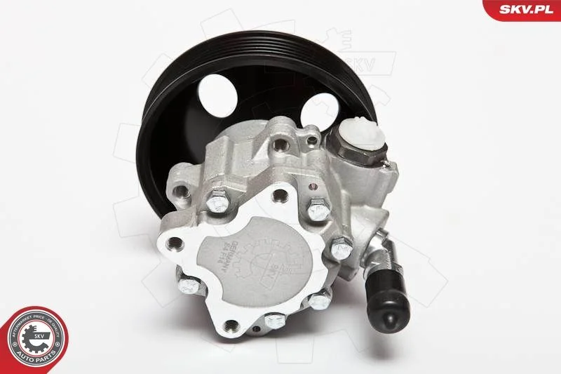 Hydraulic Pump, steering ESEN SKV 10SKV063
