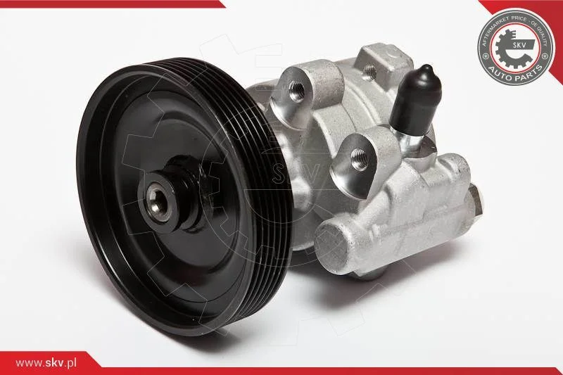 Hydraulic Pump, steering ESEN SKV 10SKV068