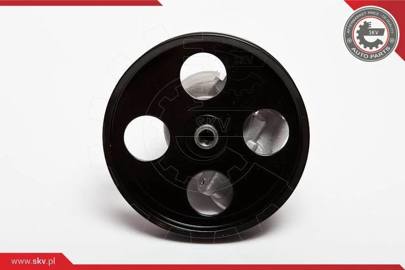 Hydraulic Pump, steering ESEN SKV 10SKV069