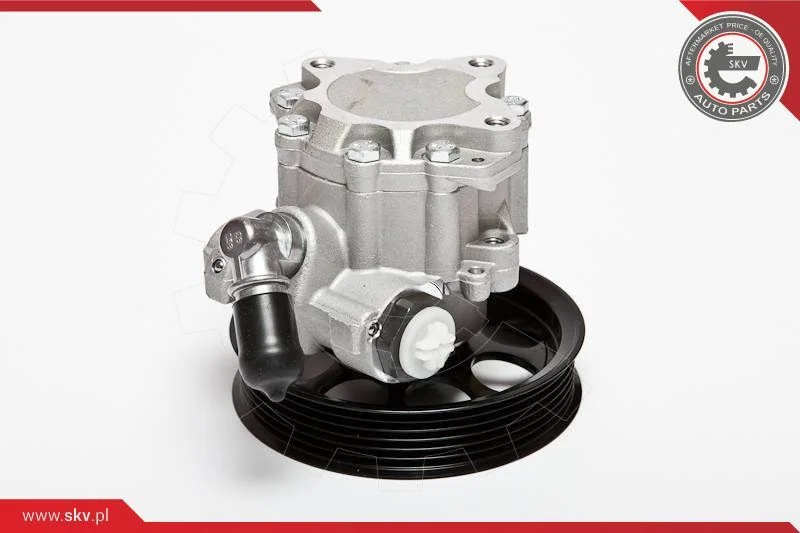 Hydraulic Pump, steering ESEN SKV 10SKV070