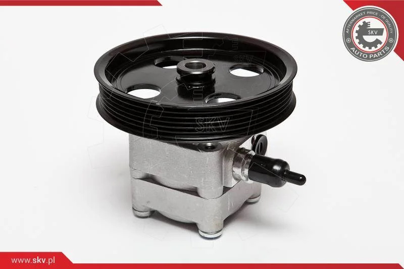 Hydraulic Pump, steering ESEN SKV 10SKV074