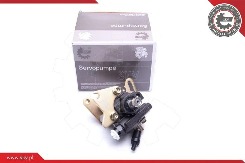 Hydraulic Pump, steering ESEN SKV 10SKV082