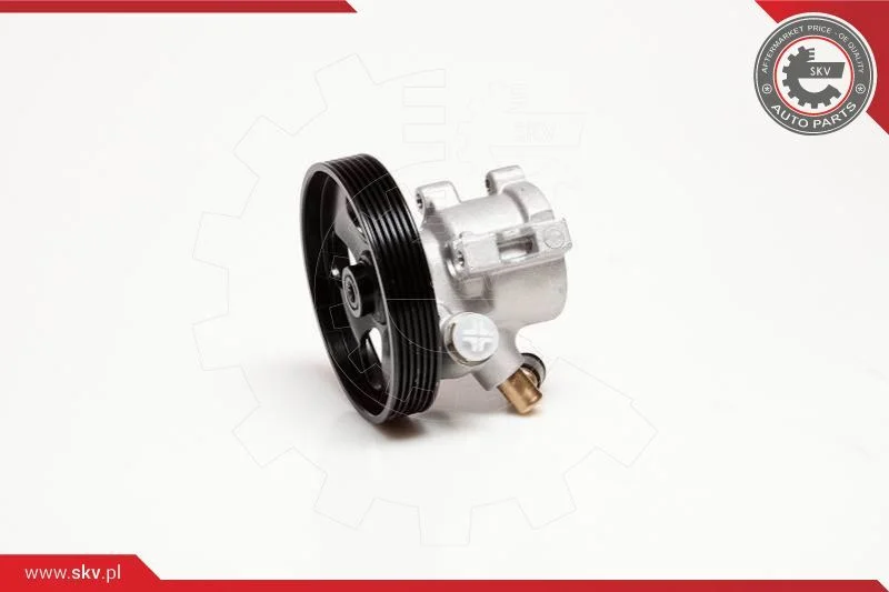 Hydraulic Pump, steering ESEN SKV 10SKV086