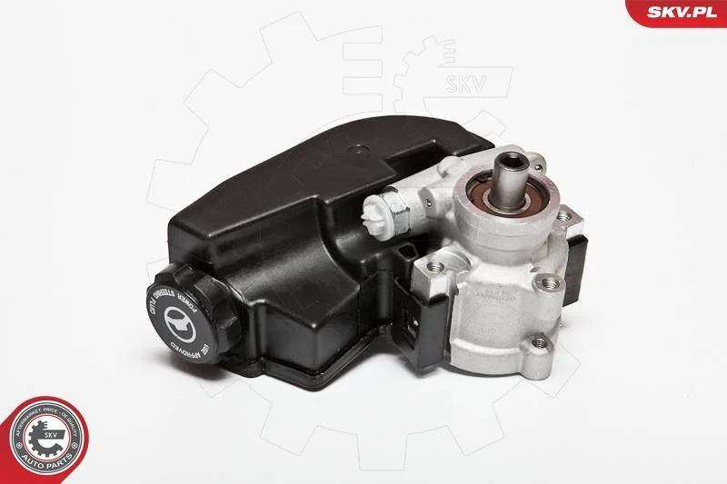 Hydraulic Pump, steering ESEN SKV 10SKV090
