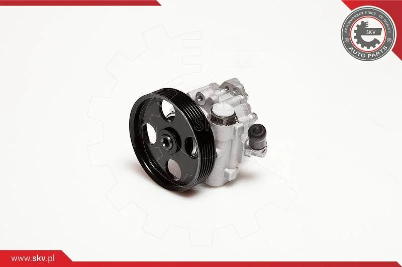 Hydraulic Pump, steering ESEN SKV 10SKV098