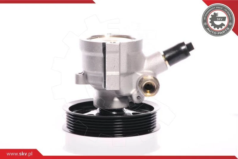 Hydraulic Pump, steering ESEN SKV 10SKV108
