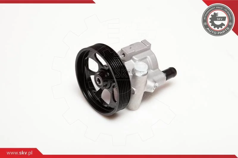 Hydraulic Pump, steering ESEN SKV 10SKV115