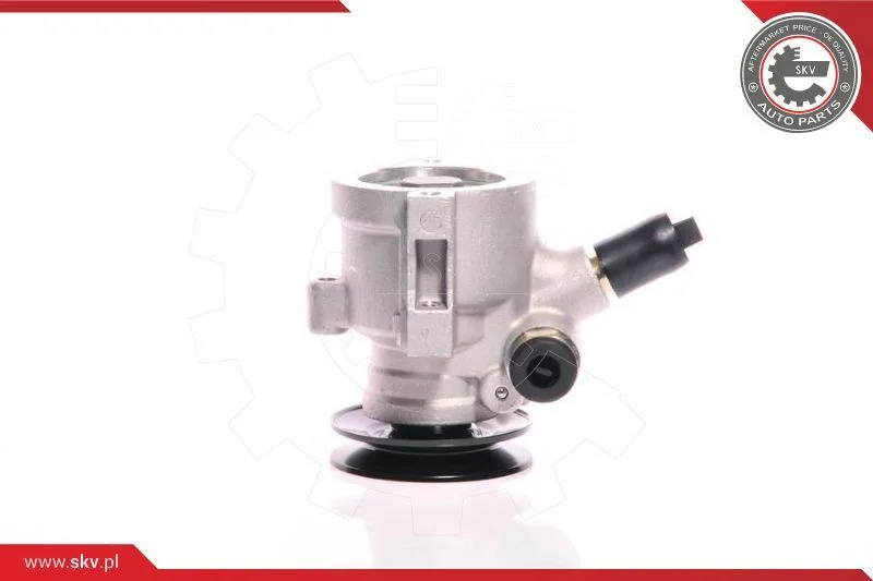 Hydraulic Pump, steering ESEN SKV 10SKV118