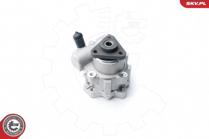Hydraulic Pump, steering ESEN SKV 10SKV122