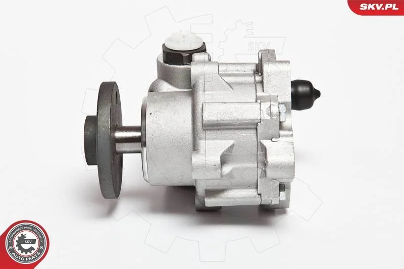 Hydraulic Pump, steering ESEN SKV 10SKV123