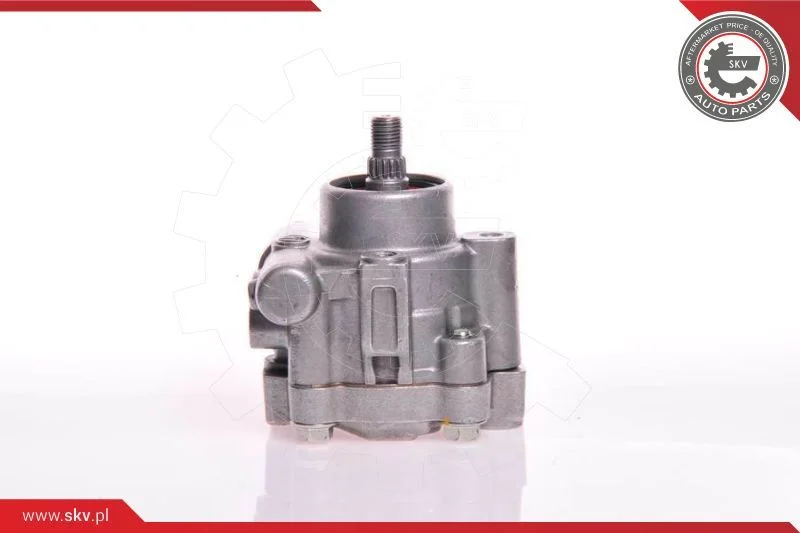 Hydraulic Pump, steering ESEN SKV 10SKV132