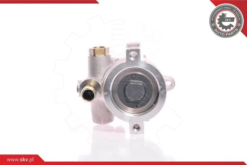 Hydraulic Pump, steering ESEN SKV 10SKV154