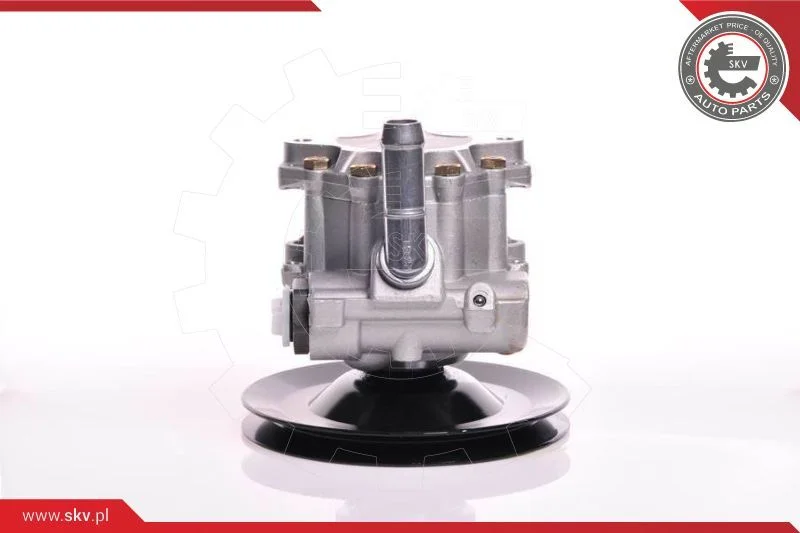 Hydraulic Pump, steering ESEN SKV 10SKV169