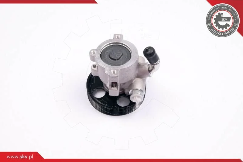 Hydraulic Pump, steering ESEN SKV 10SKV174