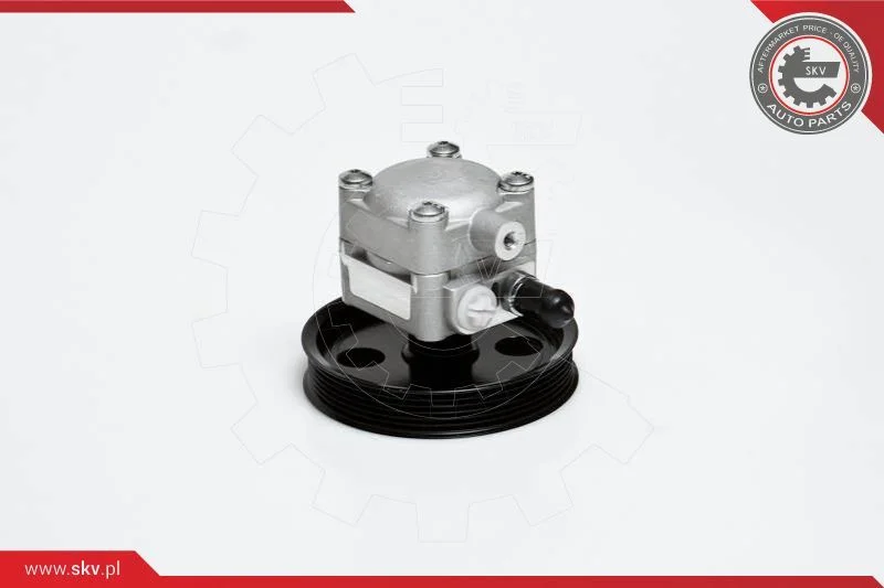 Hydraulic Pump, steering ESEN SKV 10SKV176