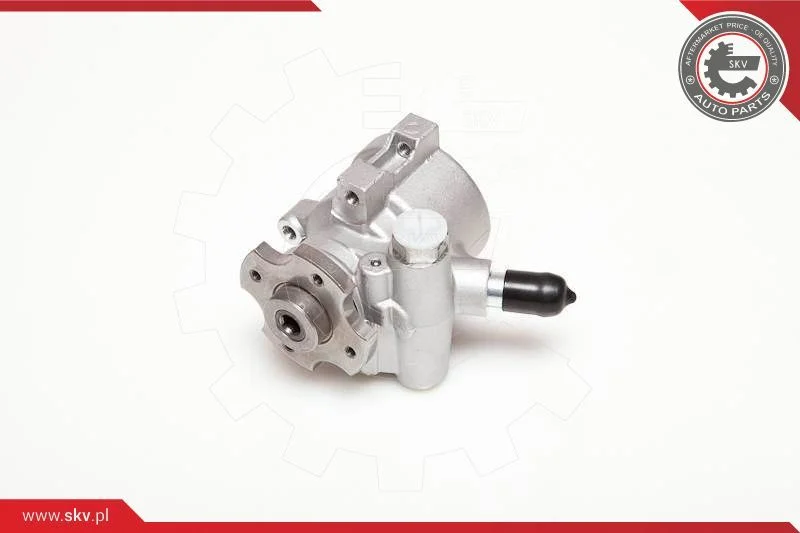 Hydraulic Pump, steering ESEN SKV 10SKV178