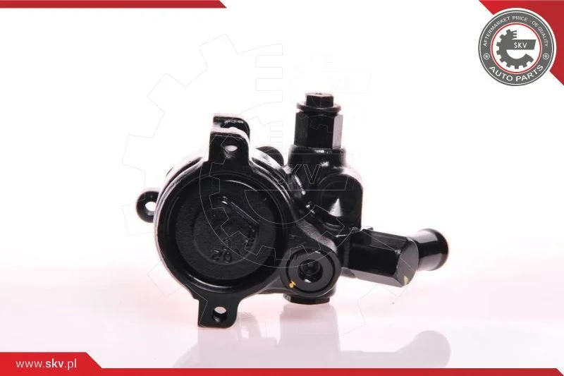 Hydraulic Pump, steering ESEN SKV 10SKV179