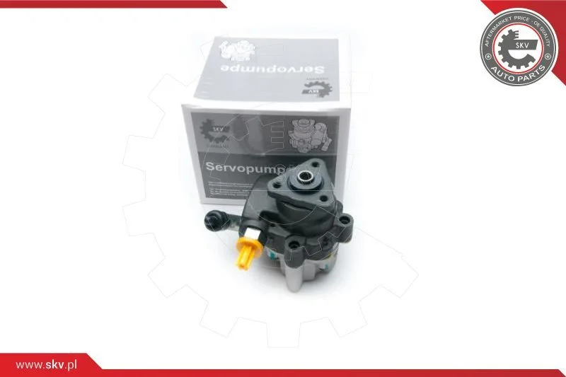 Hydraulic Pump, steering ESEN SKV 10SKV191