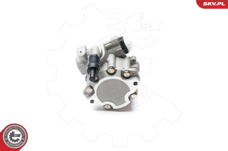 Hydraulic Pump, steering ESEN SKV 10SKV199