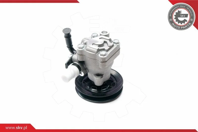 Hydraulic Pump, steering ESEN SKV 10SKV200