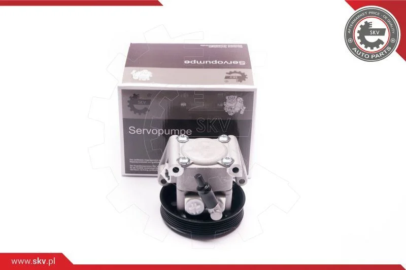 Hydraulic Pump, steering ESEN SKV 10SKV219