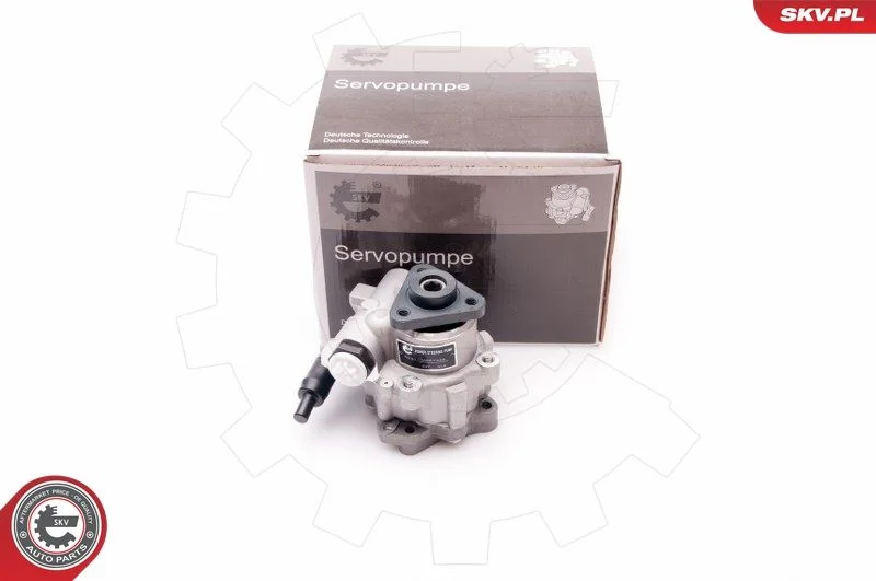 Hydraulic Pump, steering ESEN SKV 10SKV220