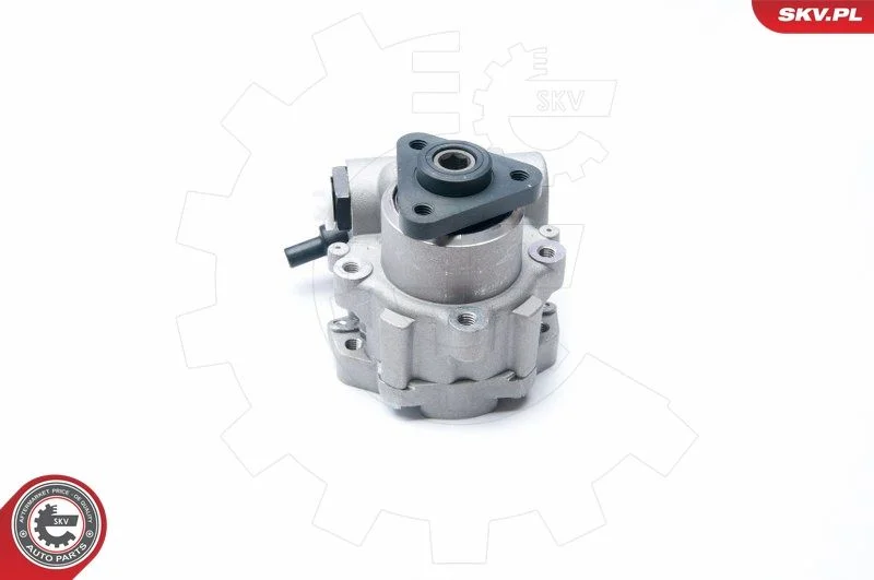 Hydraulic Pump, steering ESEN SKV 10SKV221