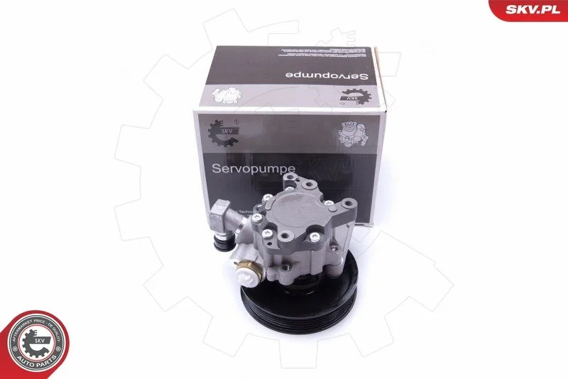Hydraulic Pump, steering ESEN SKV 10SKV235