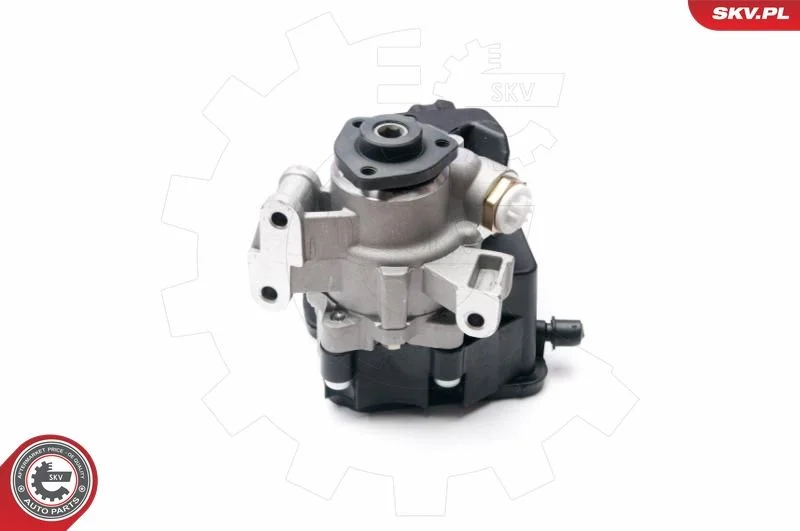 Hydraulic Pump, steering ESEN SKV 10SKV237