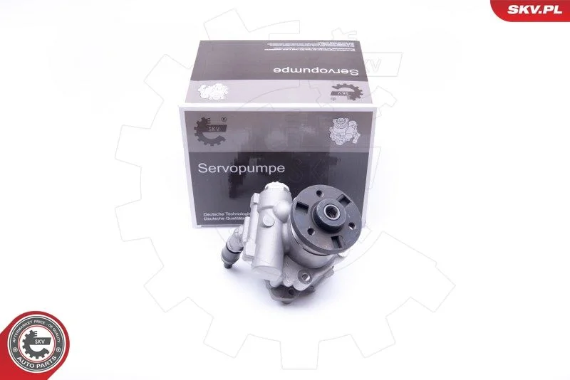 Hydraulic Pump, steering ESEN SKV 10SKV246