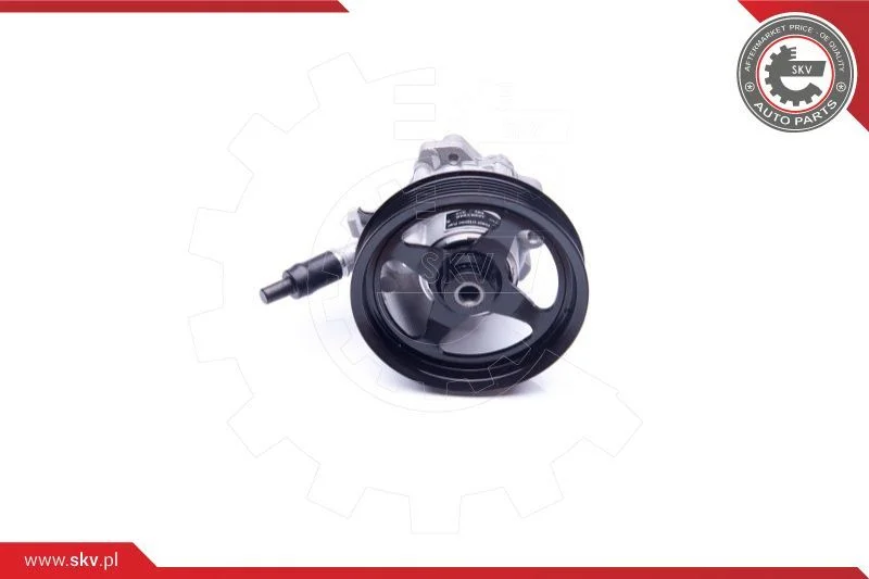 Hydraulic Pump, steering ESEN SKV 10SKV266