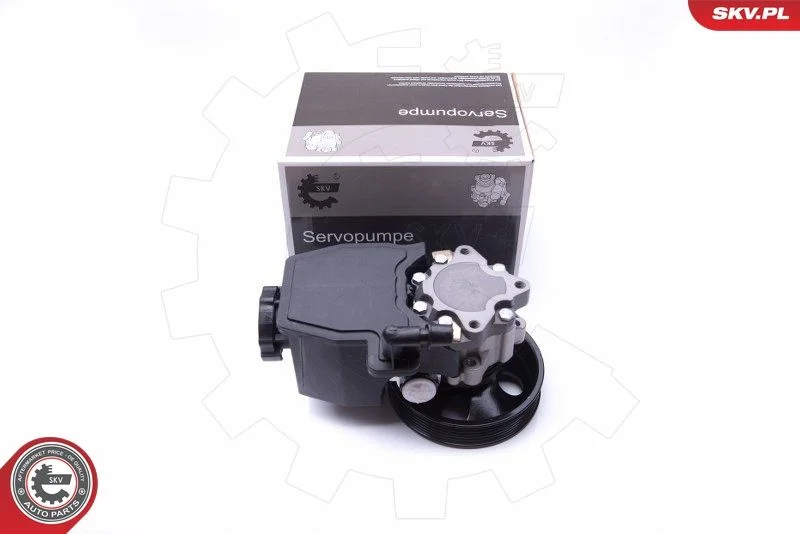 Hydraulic Pump, steering ESEN SKV 10SKV269