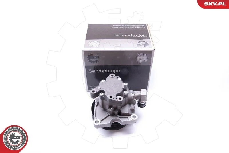 Hydraulic Pump, steering ESEN SKV 10SKV272