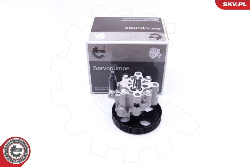Hydraulic Pump, steering ESEN SKV 10SKV287