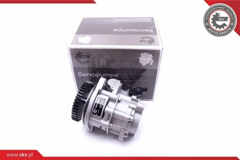 Hydraulic Pump, steering ESEN SKV 10SKV289