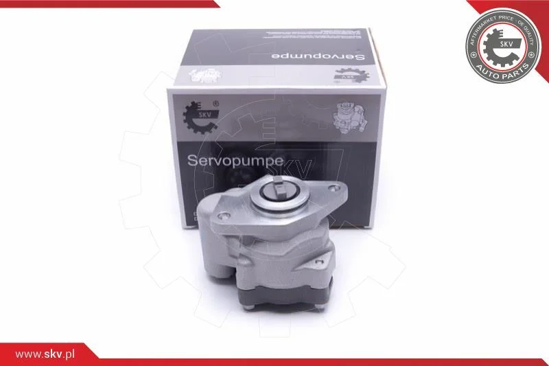 Hydraulic Pump, steering ESEN SKV 10SKV299