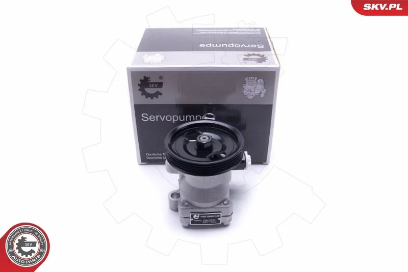 Hydraulic Pump, steering ESEN SKV 10SKV300