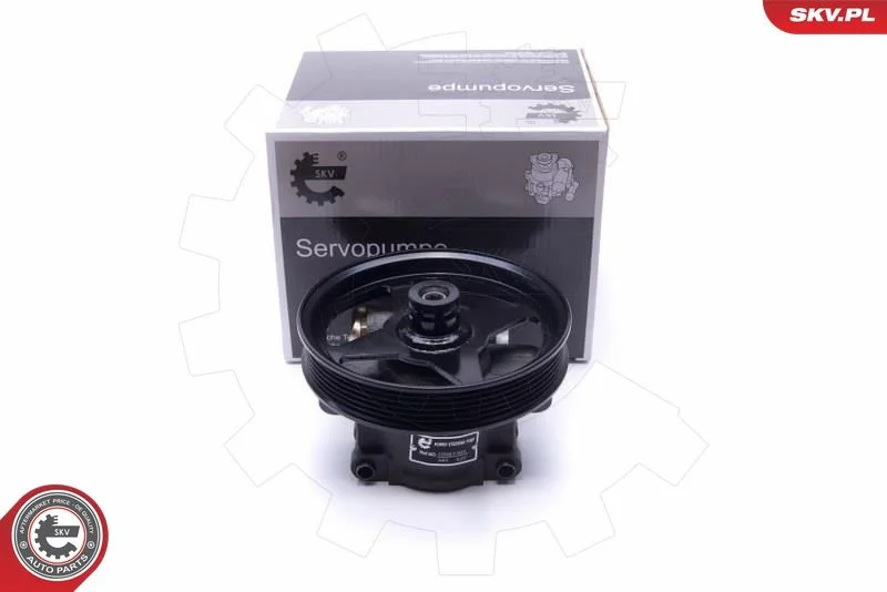 Hydraulic Pump, steering ESEN SKV 10SKV303